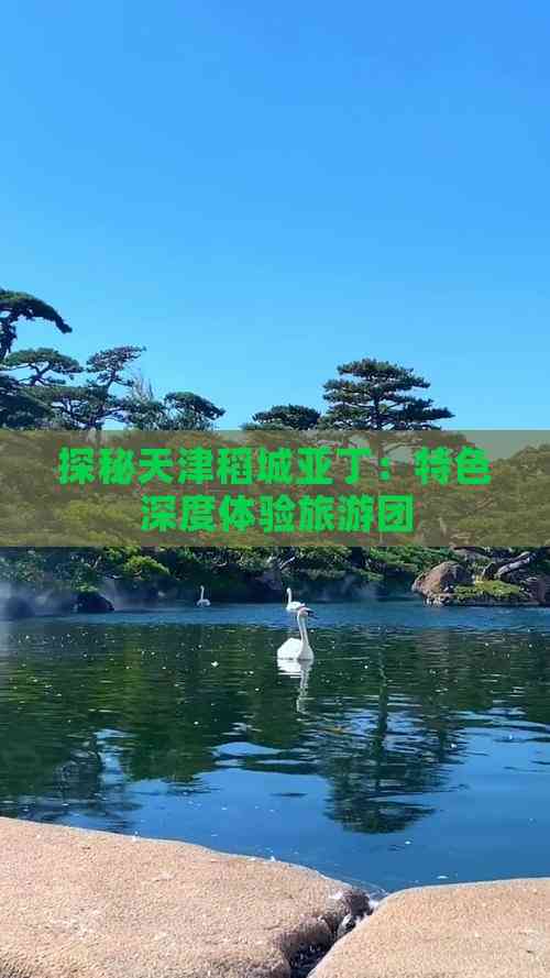 探秘天津稻城亚丁：特色深度体验旅游团