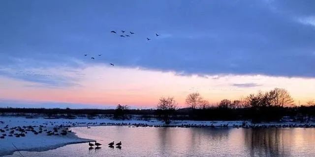 种子的旅行中的旅行是什么意思_有声读物一粒种子的旅行_旅行的种子