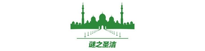 限量跑车莱肯超级版多少钱_限量版莱肯超级跑车_莱肯超级跑车国内价格