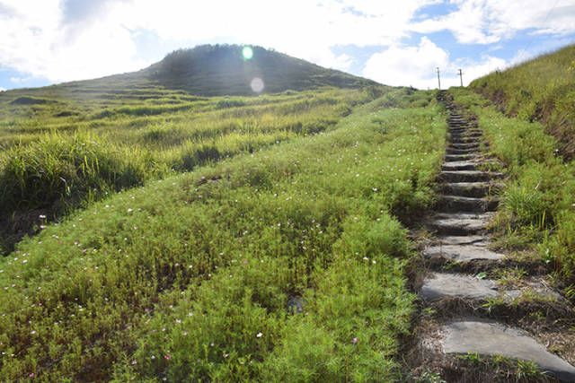 咸丰旅游_线路咸丰旅游线路图_咸丰旅游线路