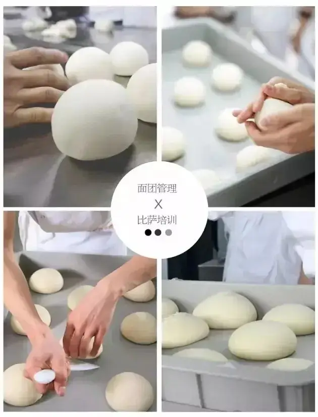 饼发酵披萨回缩怎么办_披萨饼发酵时间过长_披萨饼发酵回缩