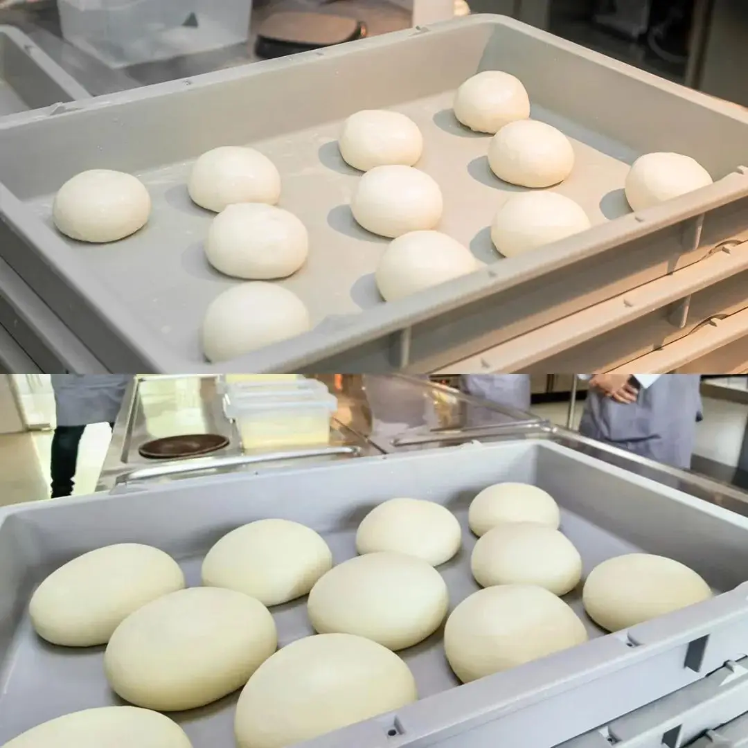 饼发酵披萨回缩怎么办_披萨饼发酵时间过长_披萨饼发酵回缩
