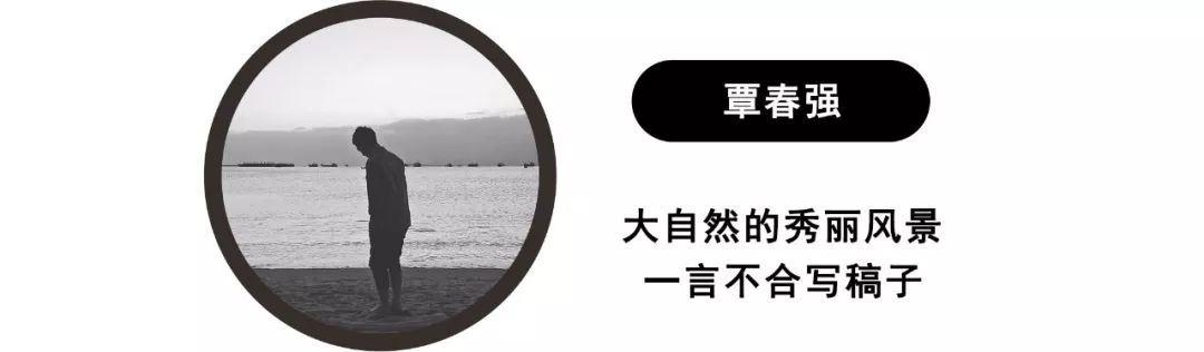 大众朗行旅行版_旅行大众版朗行多少钱_旅行大众版朗行版区别