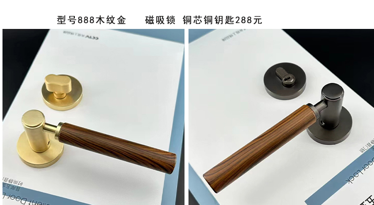 对开拱形门弧形门圆弧门法式复古双开烤漆实木复合卧室门服装店门(图17)