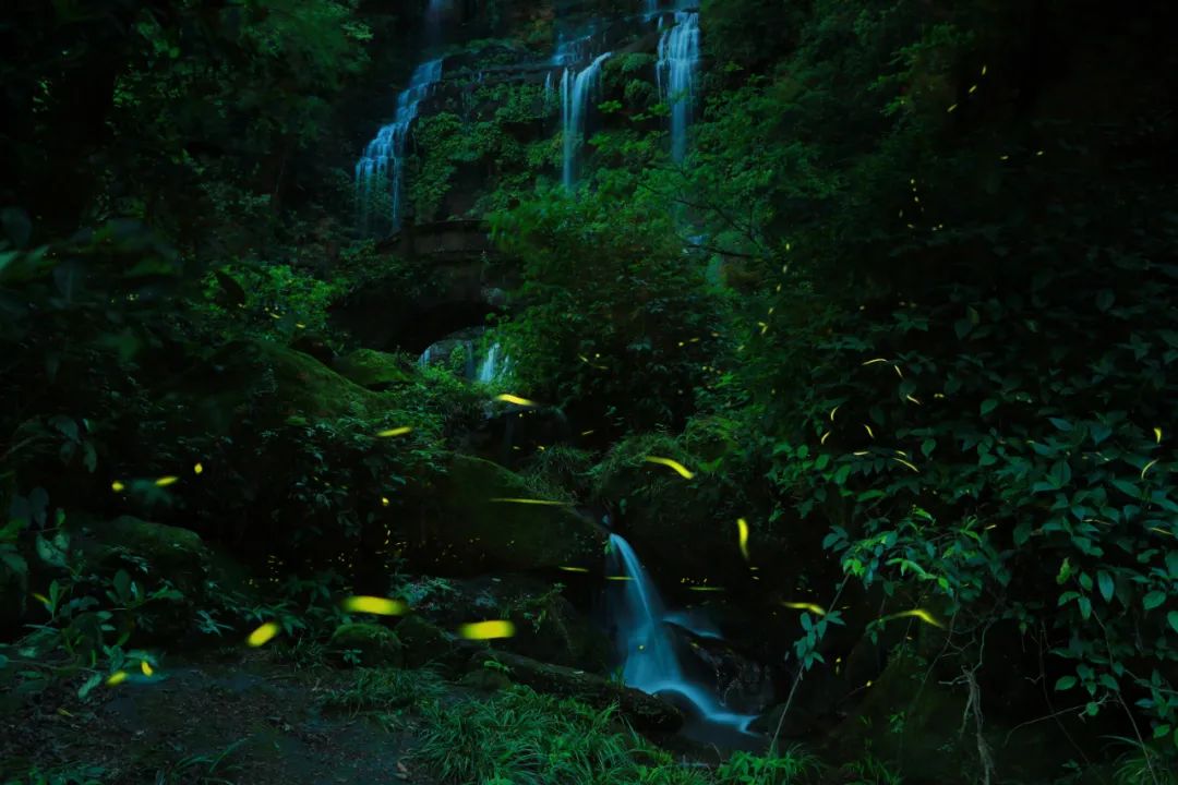 邛崃市天台山旅游景区_邛崃天台山主要景点_邛崃天台山介绍