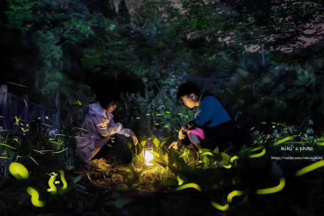 邛崃天台山景区有什么好玩的_邛崃市天台山旅游景区_邛崃天台山主要景点