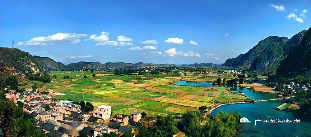 田阳县敢壮网_田阳县敢壮大地林业有限公司_田阳敢壮山景区