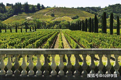 乡村观光旅游项目_打造乡村观光旅游业_观光乡村旅游项目名称