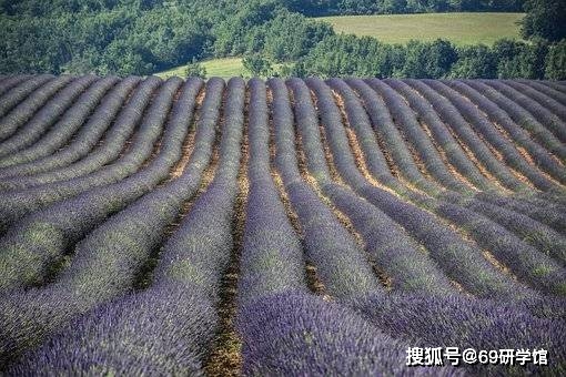 乡村观光旅游项目_观光乡村旅游项目名称_打造乡村观光旅游业