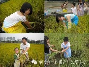 乡村旅游资源开发的策略有_乡村旅游资源_乡村旅游资源有哪些