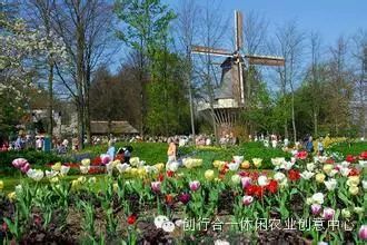 乡村旅游资源开发的策略有_乡村旅游资源有哪些_乡村旅游资源