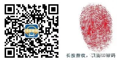唐山违章查询官方网站_唐山违章车辆查询系统_唐山交通网车辆违章查询