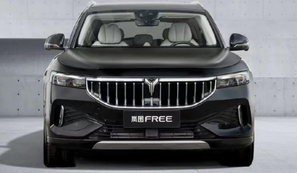 电车品牌新能源排行 比亚迪、小鹏汽车、岚图汽车是新能源汽车品牌