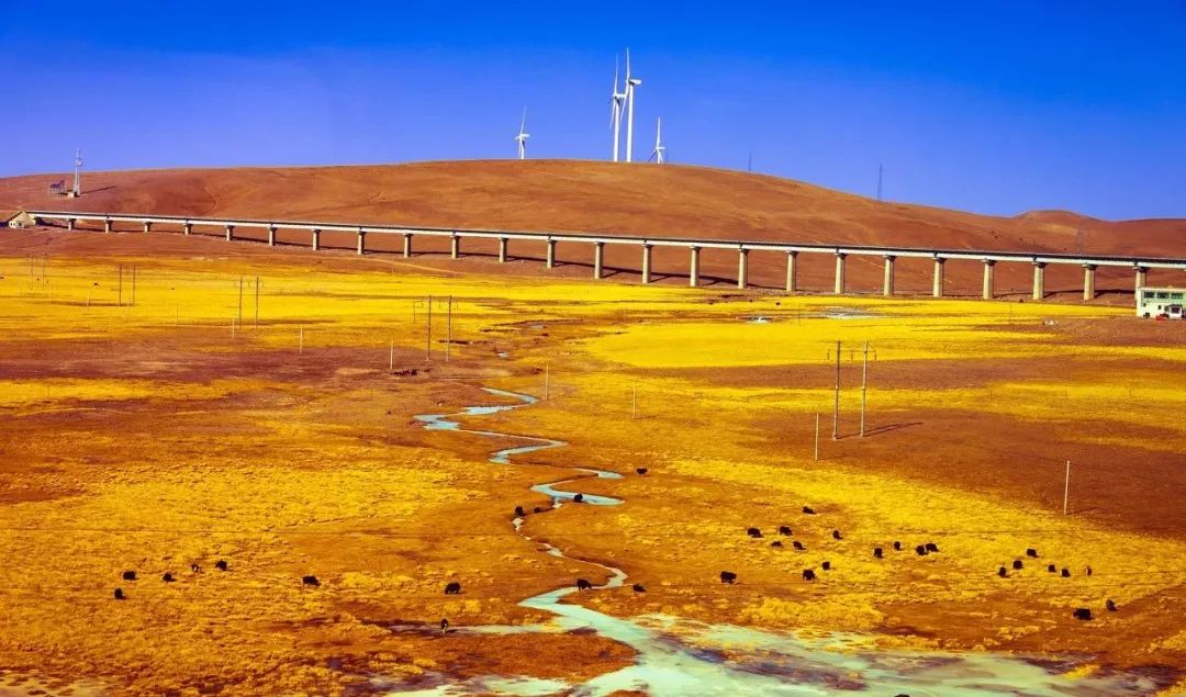 丽江到兰州的火车_兰州到丽江的火车_兰州至丽江火车票