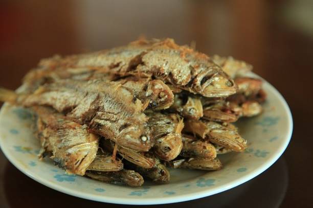 餐厅的菜金是什么意思啊_金是哪个地方的菜系_菜系地域分布