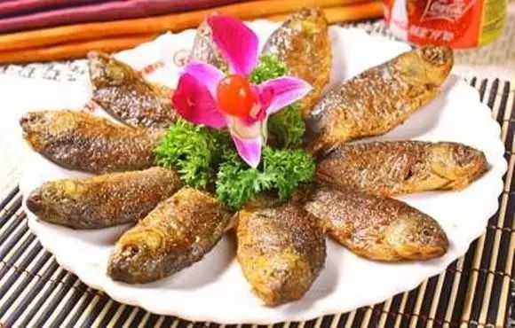 金是哪个地方的菜系_餐厅的菜金是什么意思啊_菜系地域分布