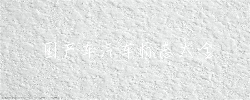 标志车图片大全大图_标志大全车道_车标志大全