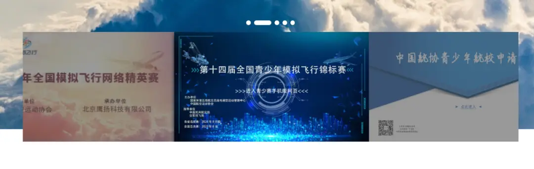 北京青少年科技创新大赛奖牌_北京青少年科技创新大赛_青少年科技创新大赛参赛