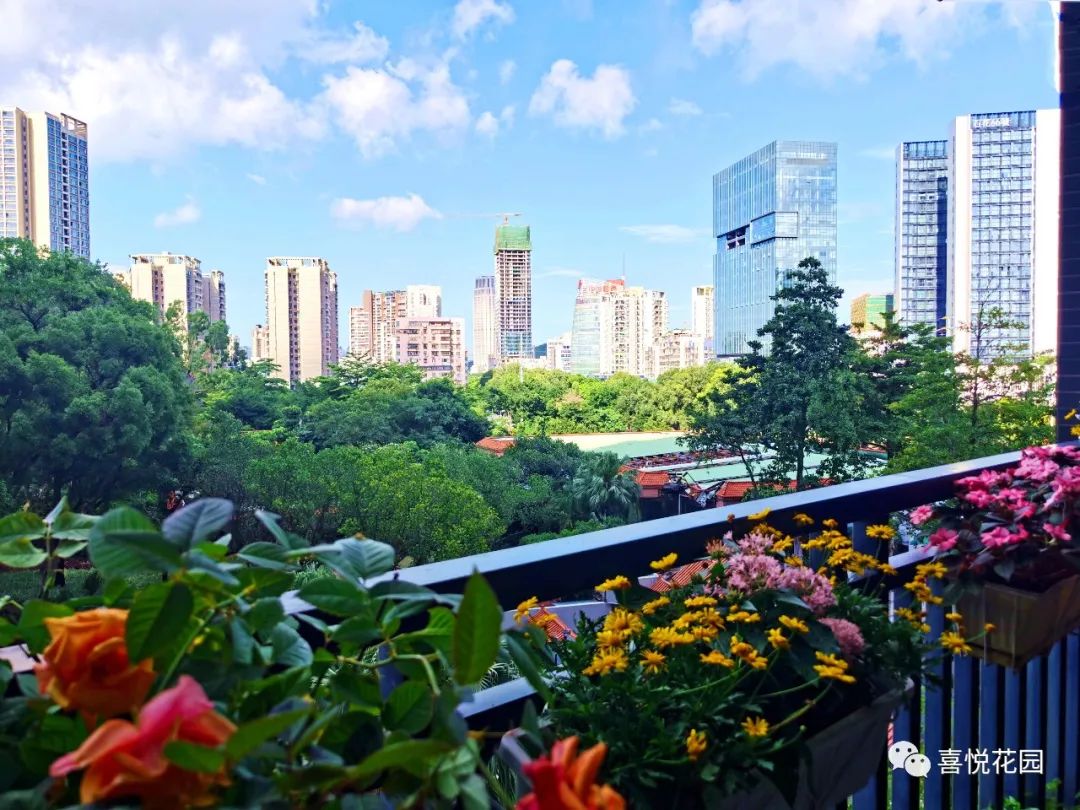 在阳台上能晒日光浴吗_阳台沐浴阳光_阳光浴一般晒多久