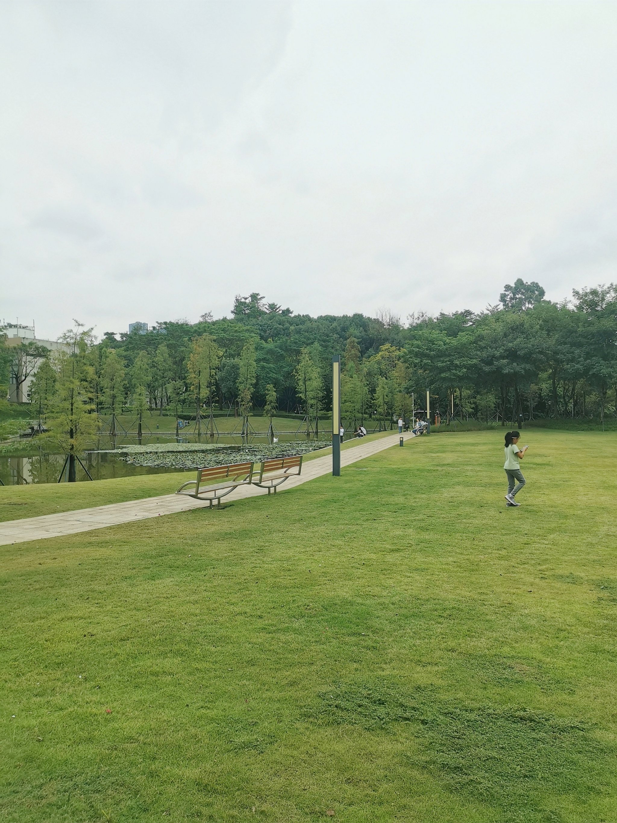 南方科技大学怎么样