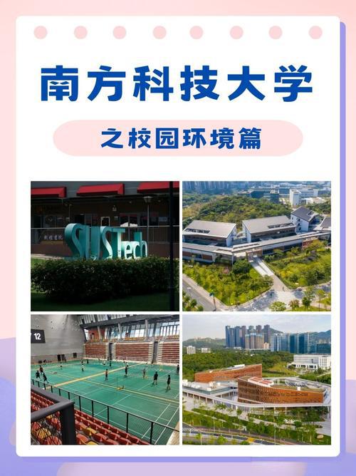 南方科技大学怎么样