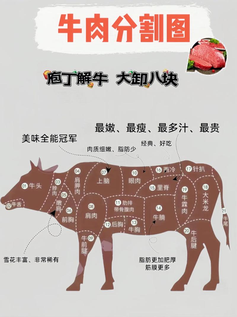 牛肉价格
