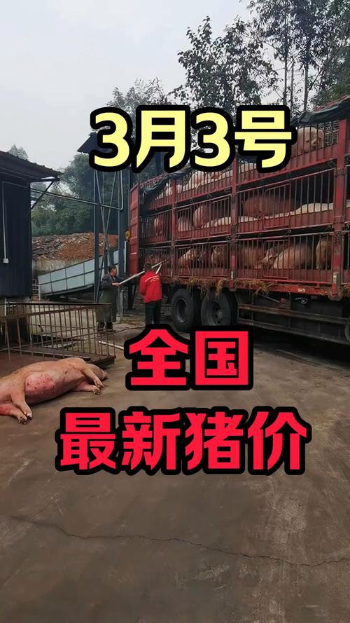 生猪价格