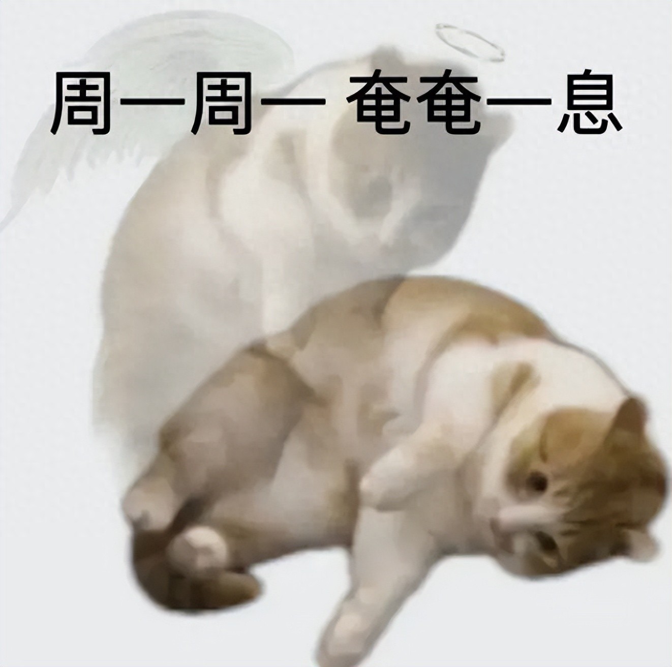 必胜客披萨的吃法_必胜客最小的披萨几寸_必胜客小披萨价格