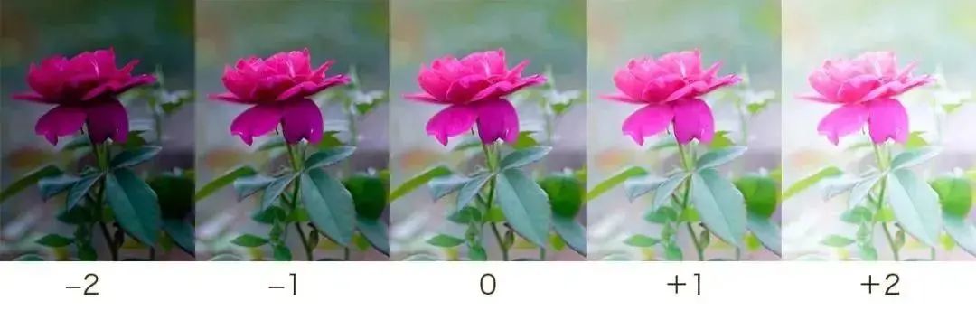 尼康d90设置_尼康d90设置技巧_尼康d90bkt怎么设置