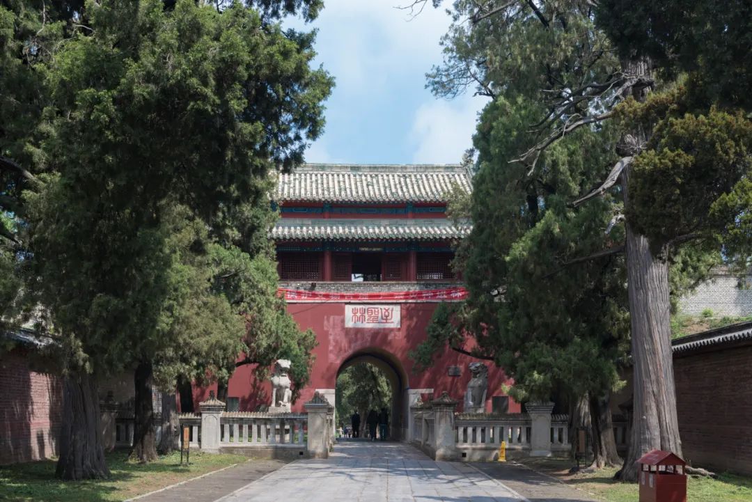 济南泰山曲阜旅游路线_山东济南曲阜泰山旅游_济南泰山曲阜旅游攻略