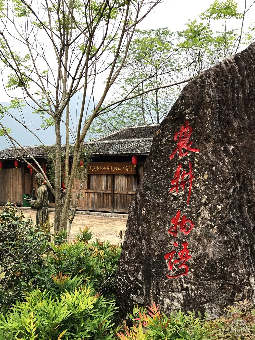 大学生思想政治教育活动_大学生思想政治教育教案范文_政治思想大学生教育活动总结