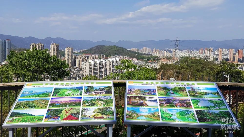 大学生思想政治教育活动_大学生思想政治教育教案范文_政治思想大学生教育活动总结