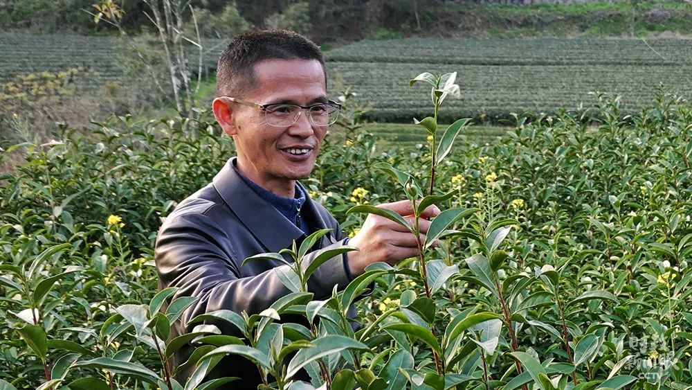 大学生思想政治教育教案范文_政治思想大学生教育活动总结_大学生思想政治教育活动