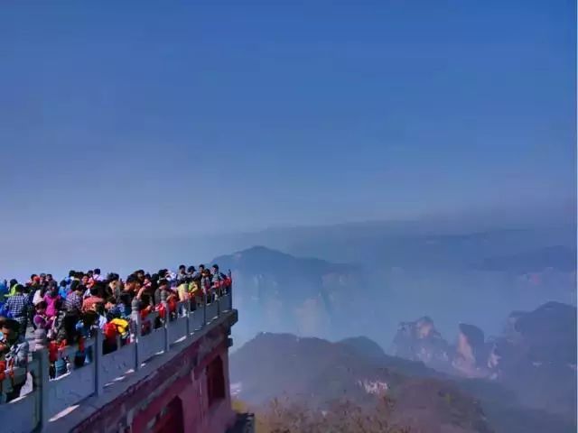 豆腐四喜丸子做法大全_四喜豆腐是哪个地方的菜系_四喜豆腐做法