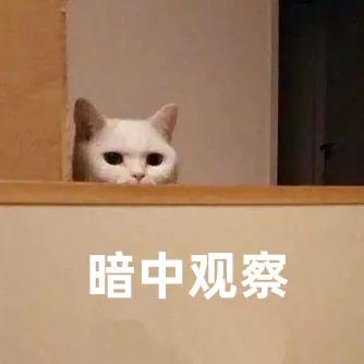 现场抽签说课如何准备_说课抽题_现场抽签说课高分技巧