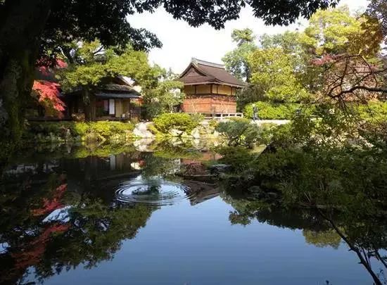 日本东京小众景点_日本东京值得去的景点_日本东京景点推荐