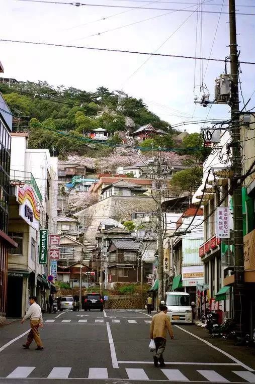 日本东京值得去的景点_日本东京小众景点_日本东京景点推荐