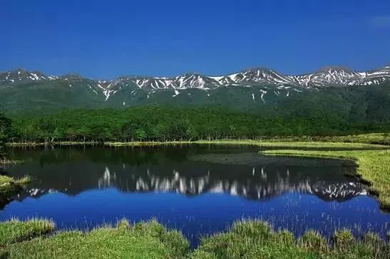 日本东京景点推荐_日本东京小众景点_日本东京值得去的景点
