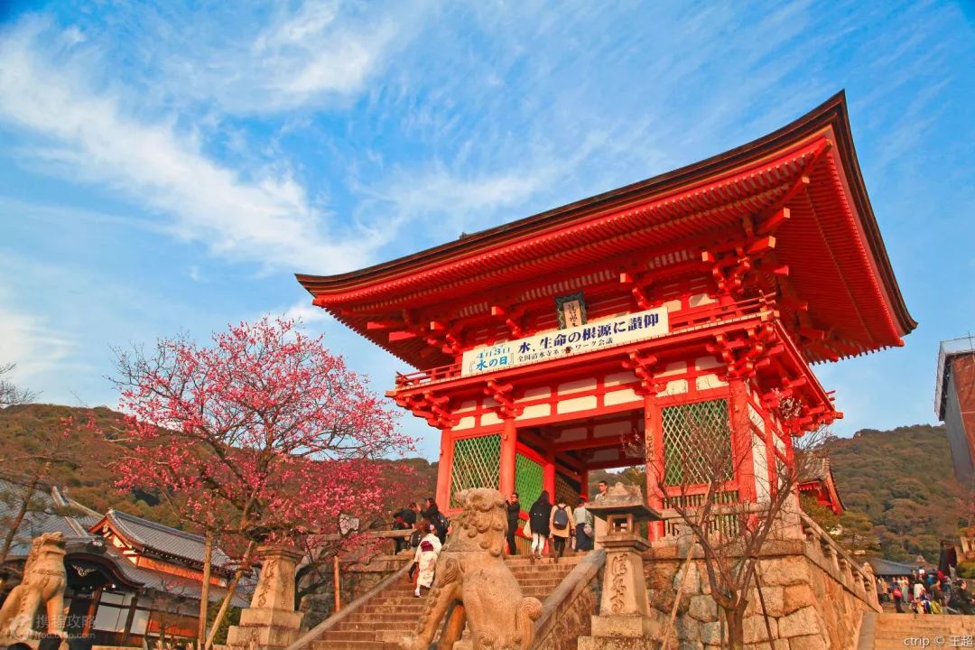 日本东京小众景点_日本东京景点排行榜前十名_日本东京值得去的景点