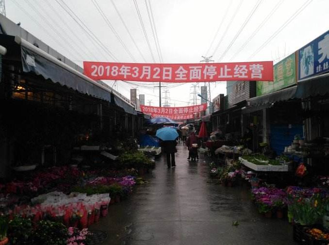 上海哪里买海鲜便宜_海鲜上海便宜买多少钱_上海买海鲜最便宜的地方