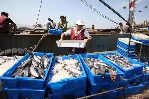 上海买海鲜最便宜的地方_海鲜上海便宜买多少钱_上海哪里买海鲜便宜