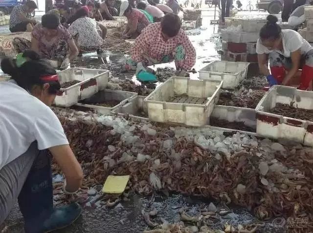 海鲜上海便宜买多少钱_上海买海鲜最便宜的地方_上海哪里买海鲜便宜