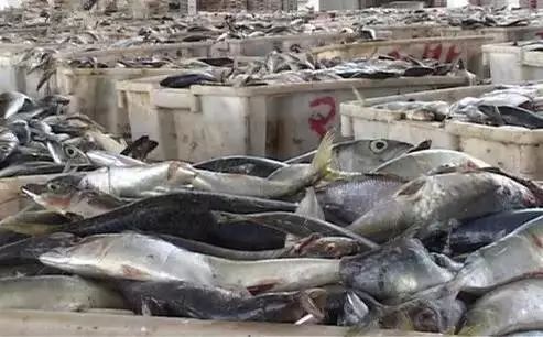 上海哪里买海鲜便宜_海鲜上海便宜买多少钱_上海买海鲜最便宜的地方