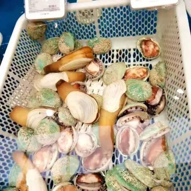 上海哪里买海鲜便宜_上海买海鲜最便宜的地方_海鲜上海便宜买多少钱