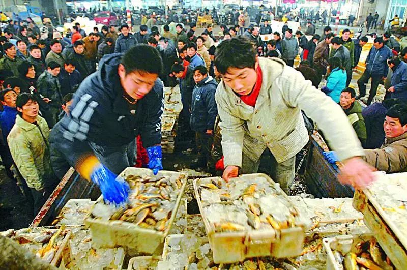 上海哪里买海鲜便宜_上海买海鲜最便宜的地方_海鲜上海便宜买多少钱