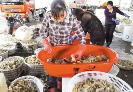上海买海鲜最便宜的地方_上海哪里买海鲜便宜_海鲜上海便宜买多少钱