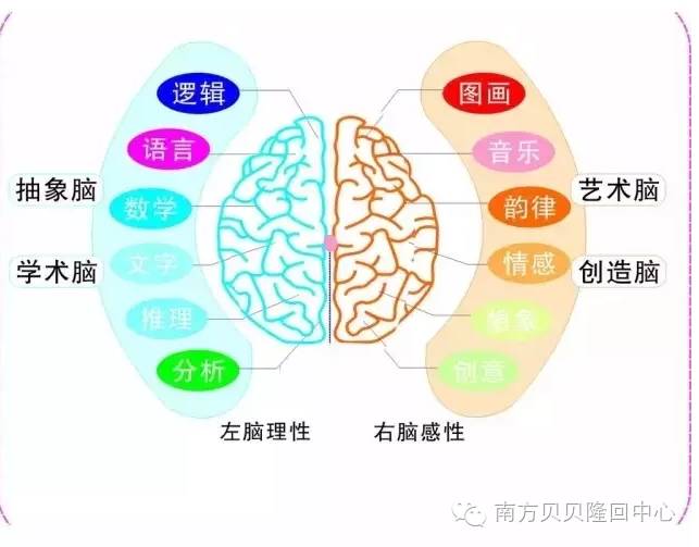 南方贝贝早教收费标准_南方贝贝早教加盟费多少_南方贝贝早期教育机构