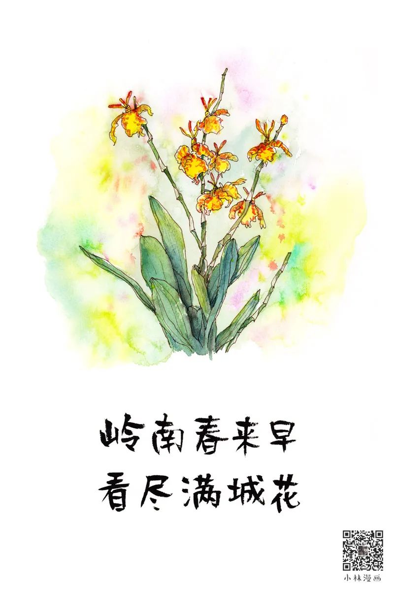 广东省美食_广东省著名美食家_广东省美食