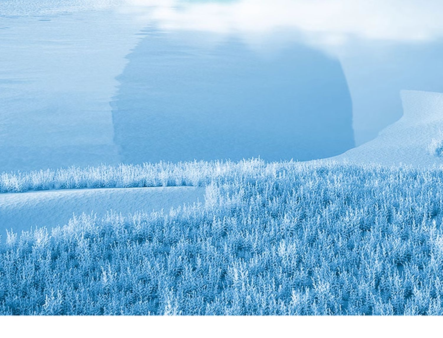 诚意金 美沃铝合金门窗130断桥铝推拉窗隔音玻璃落地窗封阳台定制(图12)