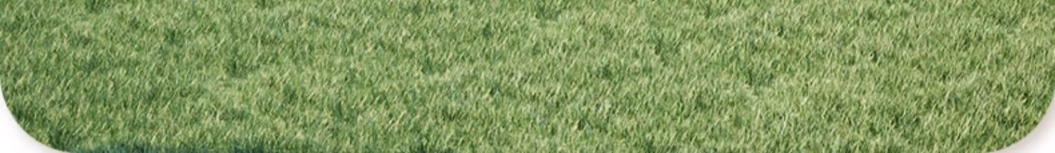 定制金飞宇门窗安选断桥阳光房隔热玻璃铝合金别墅遮户外阳光房(图4)